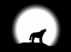<img:http://www.paranormalghostsociety.org/wwwroot/Animatedgifs/Wolfmo1.gif>
