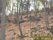 0uppertrail.jpg (55257 bytes)