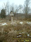 birdhouse.jpg (52853 bytes)
