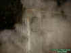 shedectoplasm1.jpg (56357 bytes)