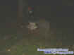 rickwalking.jpg (16364 bytes)