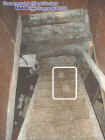 basementstairorbs.jpg (37364 bytes)