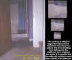 bathroomface.jpg (40842 bytes)