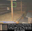 beamface.jpg (46558 bytes)