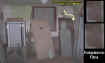 ectoplasmicroomface.jpg (26594 bytes)