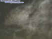 gwenstoneecto.jpg (17797 bytes)