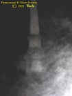 monumentectoplasm.jpg (15484 bytes)
