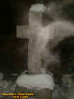 2priestcrossectoplasm.jpg (18535 bytes)