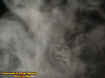 2priestsectionectoplasm.jpg (15690 bytes)