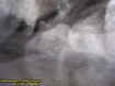 bridgeectoplasm3.jpg (20917 bytes)