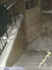 basementstairwellmist.jpg (22832 bytes)