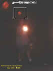 glossyredorb.jpg (14315 bytes)