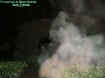 bushectoplasm.jpg (35139 bytes)
