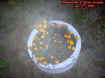 2005flowerpotmist.jpg (35391 bytes)