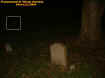treestoneorb.jpg (29520 bytes)