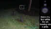 graveorb.jpg (48201 bytes)