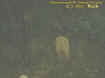 brushstone.jpg (15588 bytes)