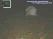 singleorb.jpg (12409 bytes)