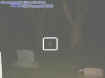 2streesorb.jpg (9615 bytes)