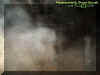 gravemist1.jpg (19947 bytes)