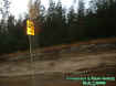 ocalaforestroad.jpg (42912 bytes)