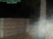 walltreeectoplasm.jpg (19556 bytes)