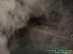 poolectoplasmicmass.jpg (27576 bytes)