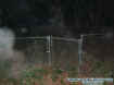 fenceecto.jpg (38451 bytes)