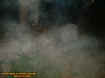 2pinewoodectomistbluewhite.jpg (37025 bytes)