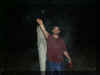 2006jasonsurrounded.jpg (12711 bytes)