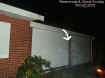 garagemist.jpg (30784 bytes)