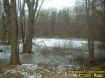 roadpond.jpg (44003 bytes)