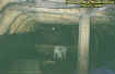 0gally.jpg (26912 bytes)