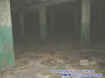 5thfloor.jpg (19887 bytes)