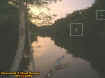 deadriverorbs.jpg (36026 bytes)