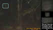 orbwithfaces.jpg (46401 bytes)