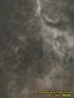 crossectoplasm1.jpg (20841 bytes)