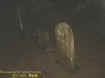 elizabethectoplasm.jpg (16894 bytes)