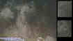 0morefaces.jpg (26449 bytes)