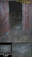 shedface.jpg (38691 bytes)