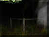 roadsideecto.jpg (18764 bytes)
