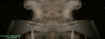 churchmirroredentity.jpg (44550 bytes)