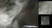 rodironwindowfaces.jpg (24475 bytes)