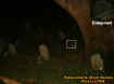 hiddengrassorb.jpg (29966 bytes)