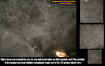 carectoplasm.jpg (44136 bytes)
