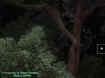 treeorb.jpg (39010 bytes)