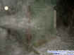 piteectoplasm.jpg (25152 bytes)