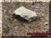 stone1.jpg (58512 bytes)