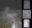 3facesgroundectoplasm.jpg (38968 bytes)