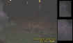 parkectoplasmfaces.jpg (23903 bytes)
